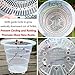 Meshpot 4 Inch Clear Plastic Orchid Pots with Holes - 6 Pack