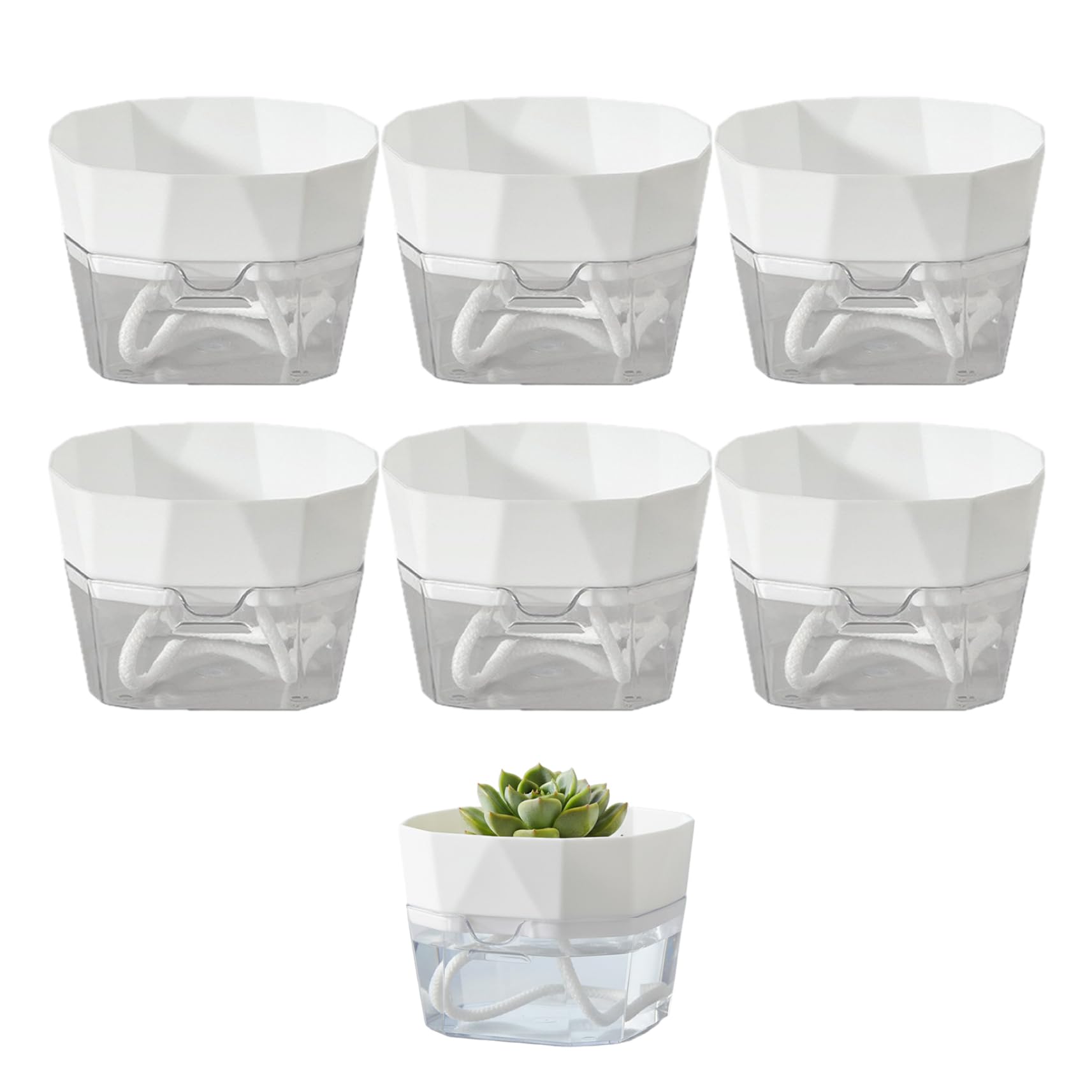 Pots d'arrosage automatiques x6 avec réservoir et fenêtre de niveau d'eau pour plante