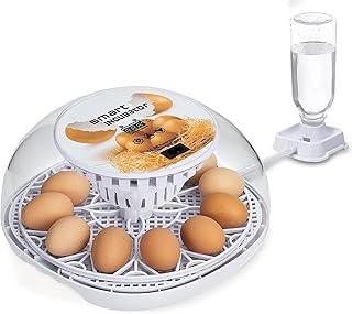 HBlife Digital Egg Incubator for Hatching 12 Chicken, Duck and Quail Eggs, with Fully Automatic Egg Turning and Temperature Display, Hatcher for Birds, Turkeys, Parrots and Poultry