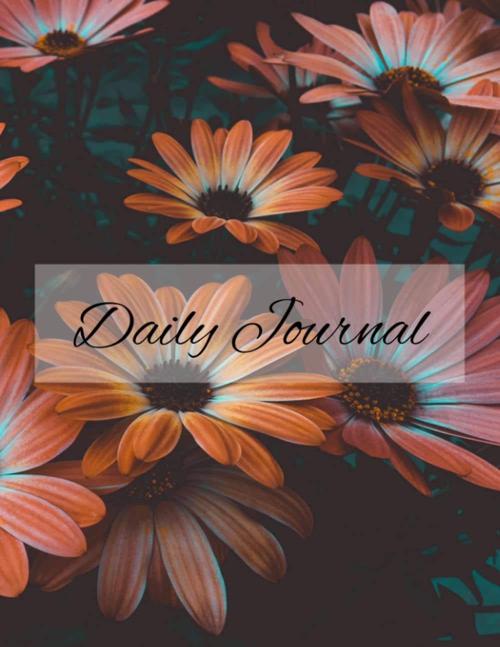 Daily Journal a journal a journal for
