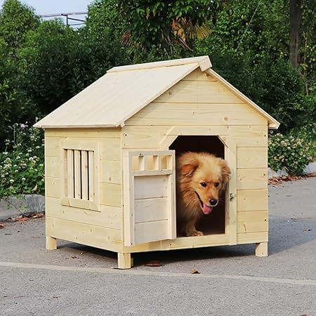 outdoor dog home