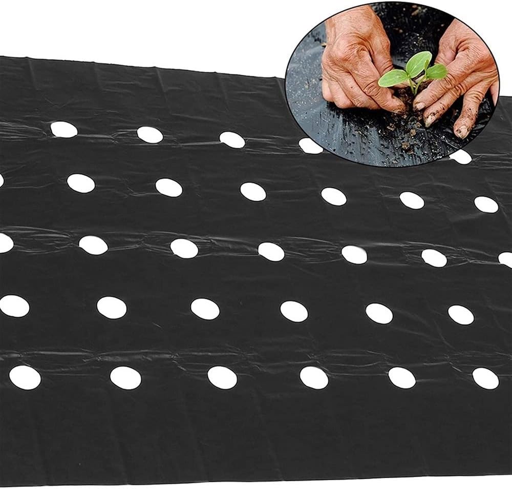 CHALKE 5 Hole Mulch Film, Black Garden PE Weeding Film Vegetable Mulch Film for Plant Cultivation Greenhouse Agriculture