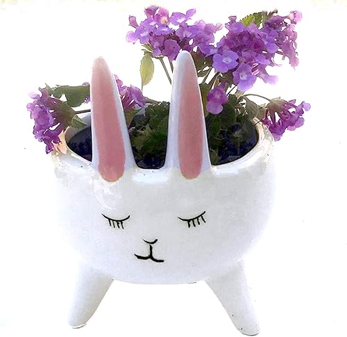 Macetero para plantas suculentas, macetas de cerámica para interiores, macetas novedosas para el hogar, oficina, jardín (flamenco rosa, 1)