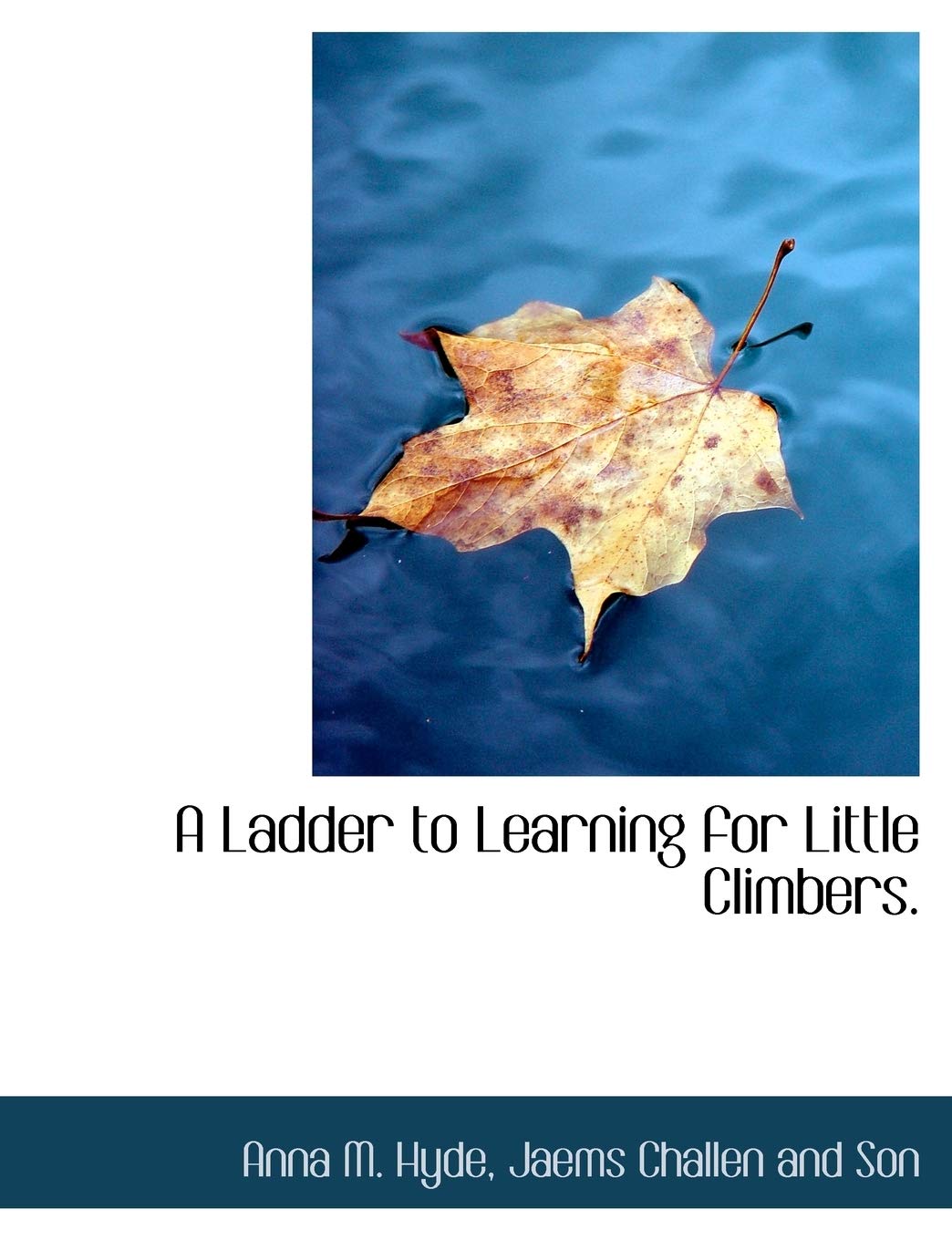 A Ladder to Learning for Little Climbers.