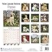Lab Puppies Calendar - Yellow Labrador Retriever Puppies - Dog Breed Calendars - 2016 - 2017 wall calendars - 16 Month Calendar by Avonside