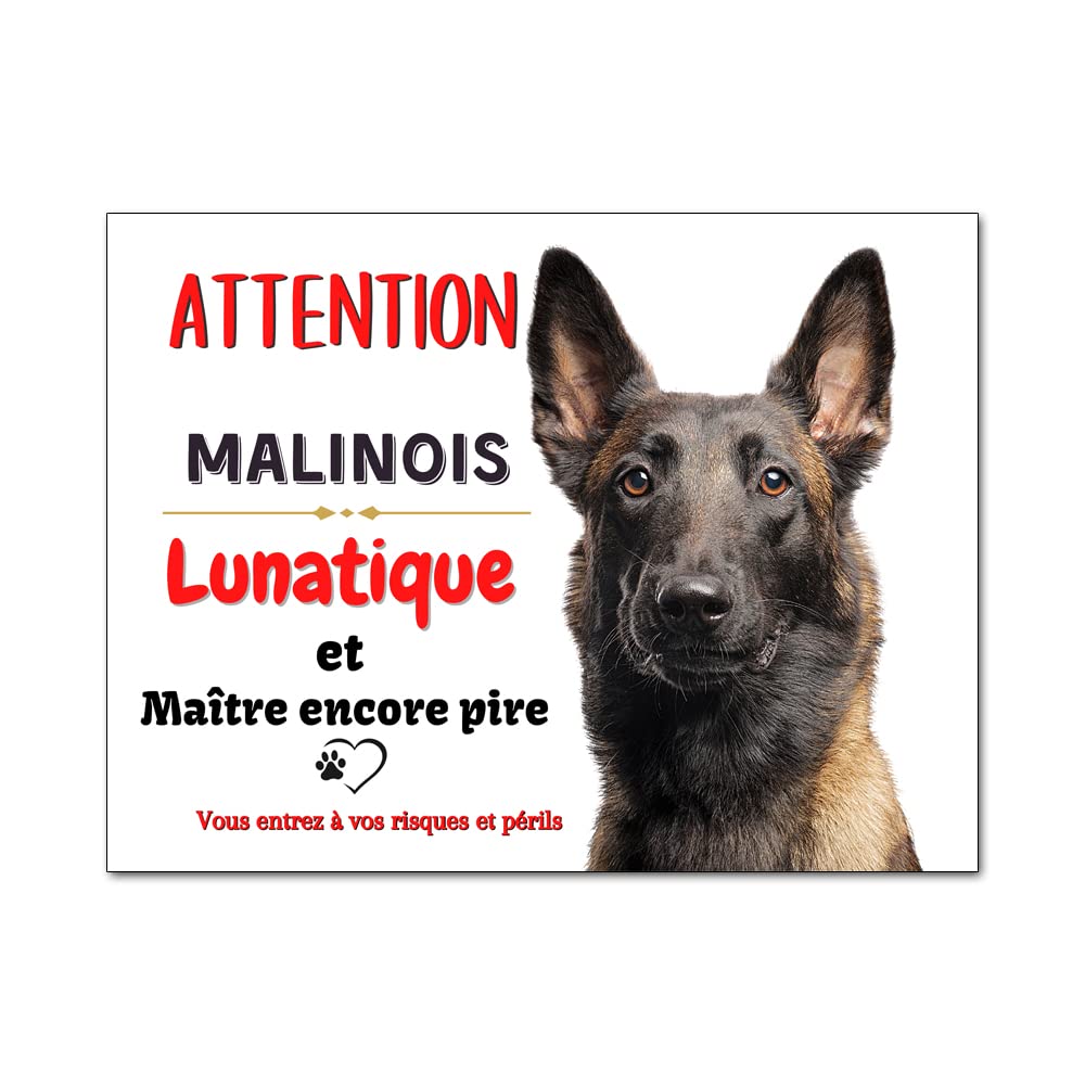 Plaque Berger Allemand couché lunatique panneau attention au chien portail modèle 1 main image 1