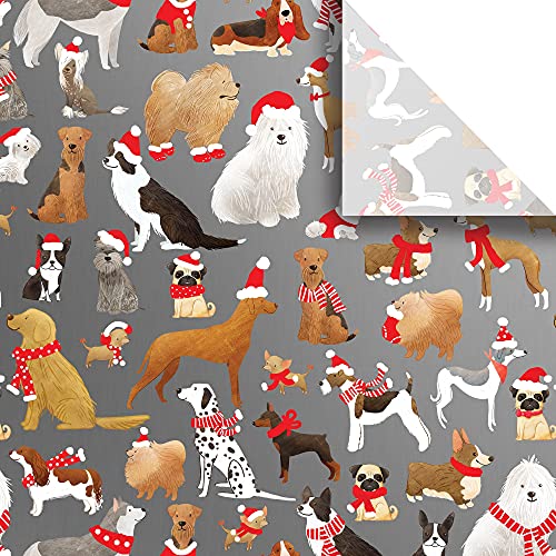 Papier de soie Noël Jillson Roberts pour partager la magie des fêtes en famille