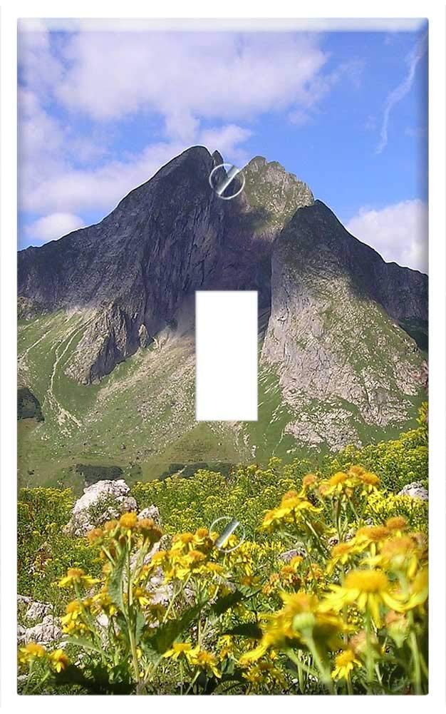 Switch Plate Single Toggle - Mountains HOfats AllgAu Alpine Germany