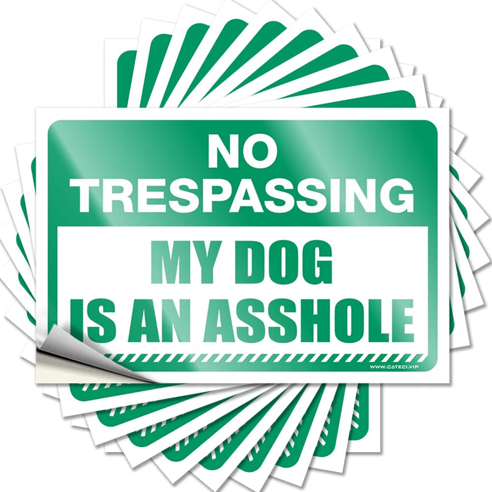 Fzfn Colour Retro Sticker Water | No Trespassing My Dog Is An Asshole Tiny Travel Sticker Pack(6X9cm)