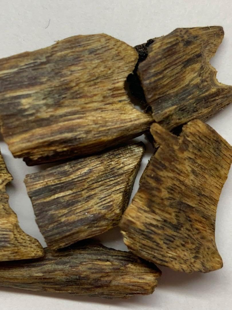 極上緑油伽羅 沈香原木 香木 重さ:20g (高ランク本物証明) 【公式通販】