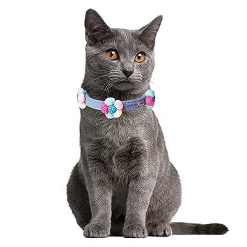 The Dogs Legacy 3D Flower Adorment Designer Comfortable Hemp Cat Collar (Small)