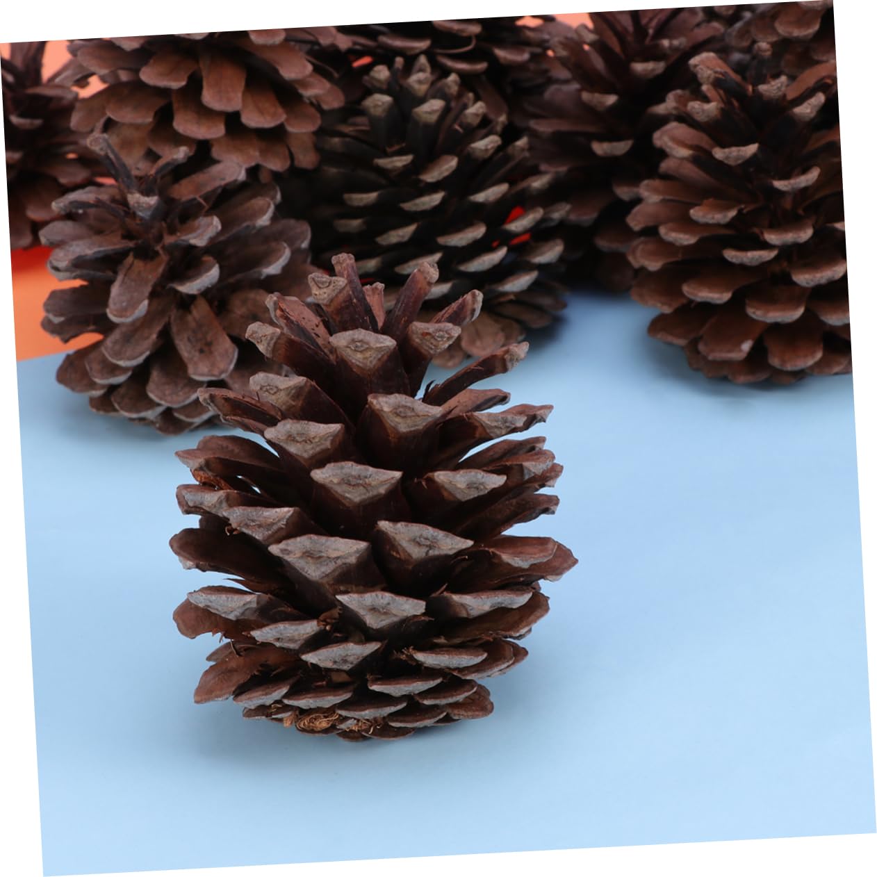 NUOBESTY 50 Pezzi Natalizie per Decorazioni Festive per e Feste Accessori Festivi per Gioiose Durante Natale e Altri Eventi