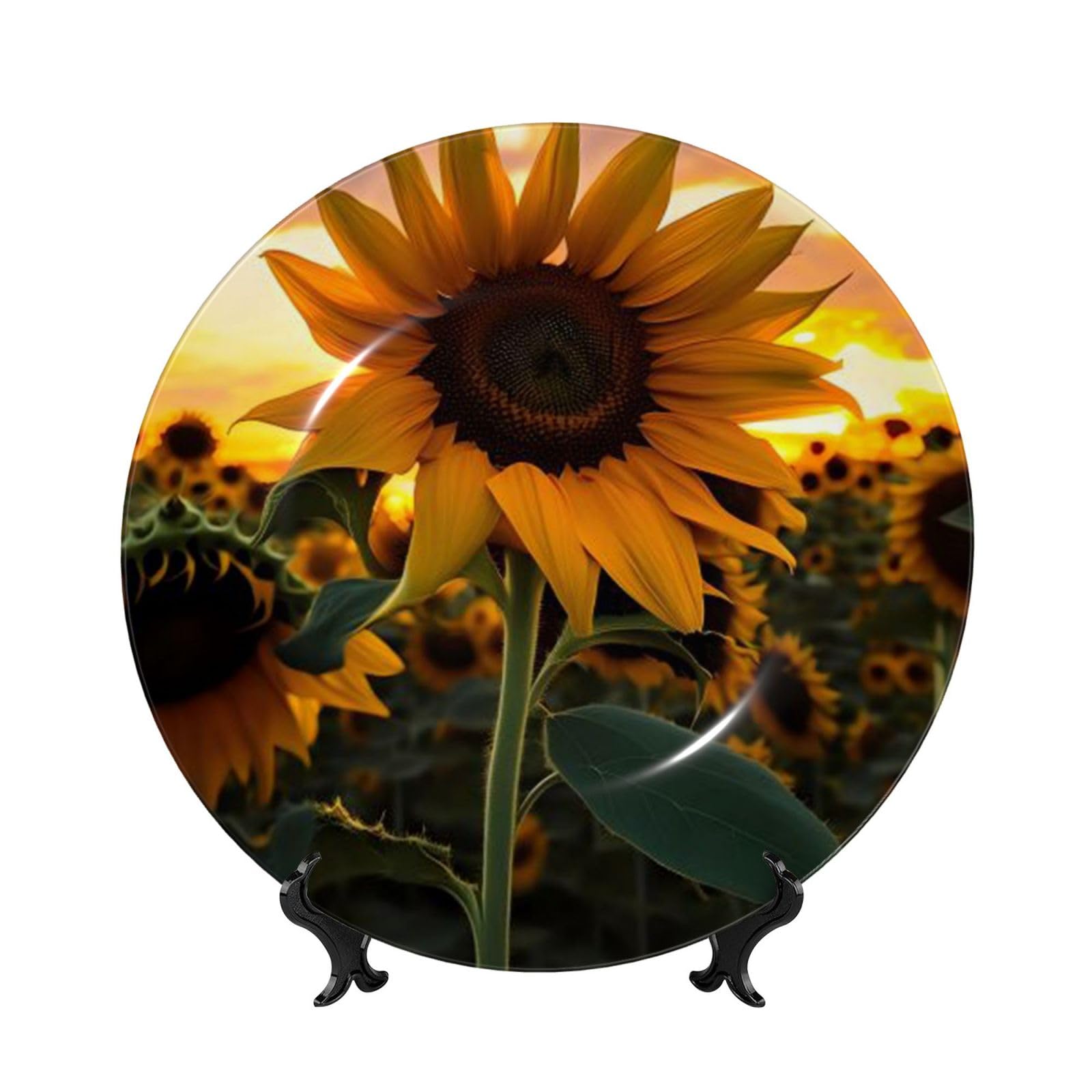 Assiette décorative en porcelaine cadeau idéal pour pendaison de crémaillère