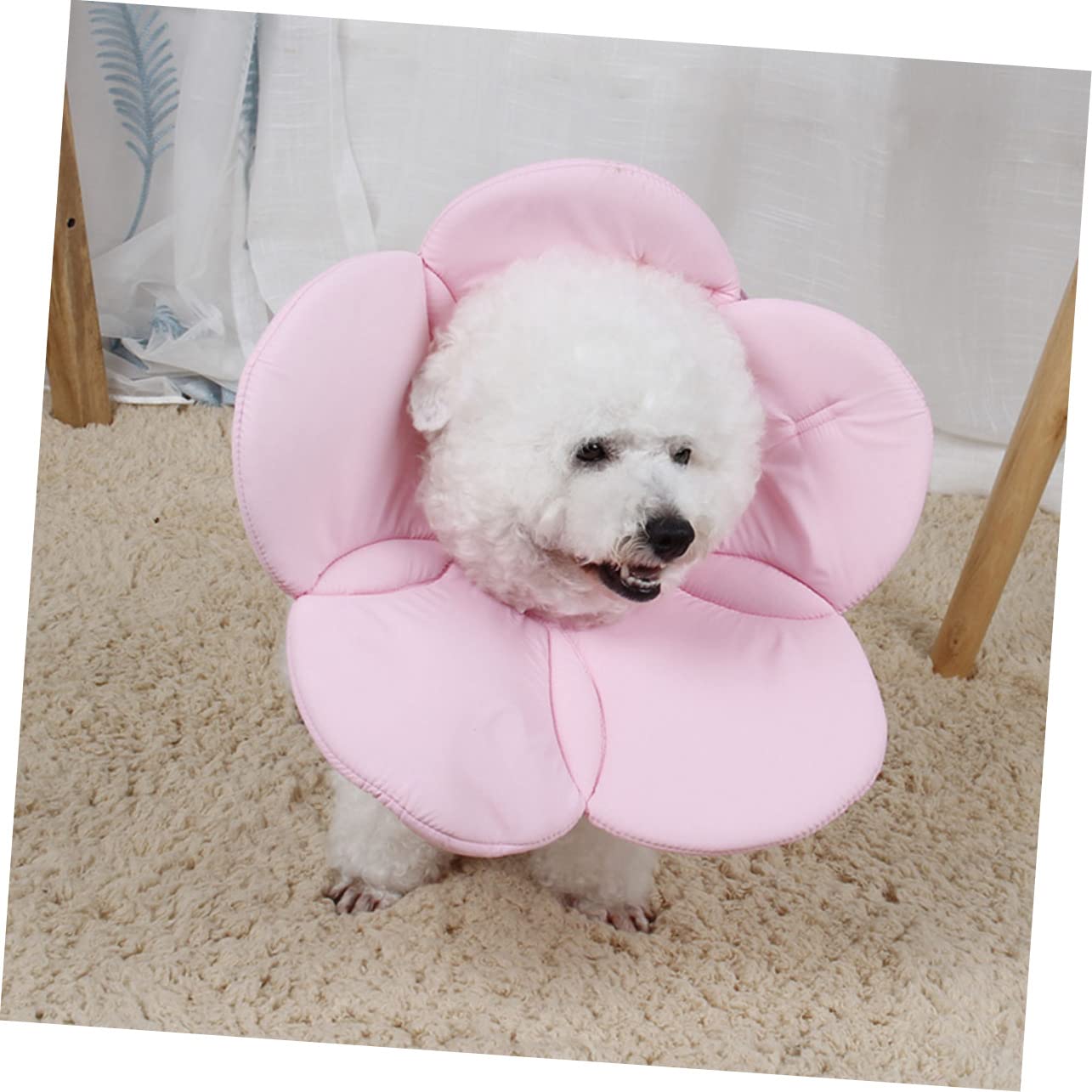 ABOOFAN 3 Pezzi Collare Per Animali Domestici Con Design Floreale Collare Elisabettiano Per Cani Con Cerchio Protettivo Per Il Collo