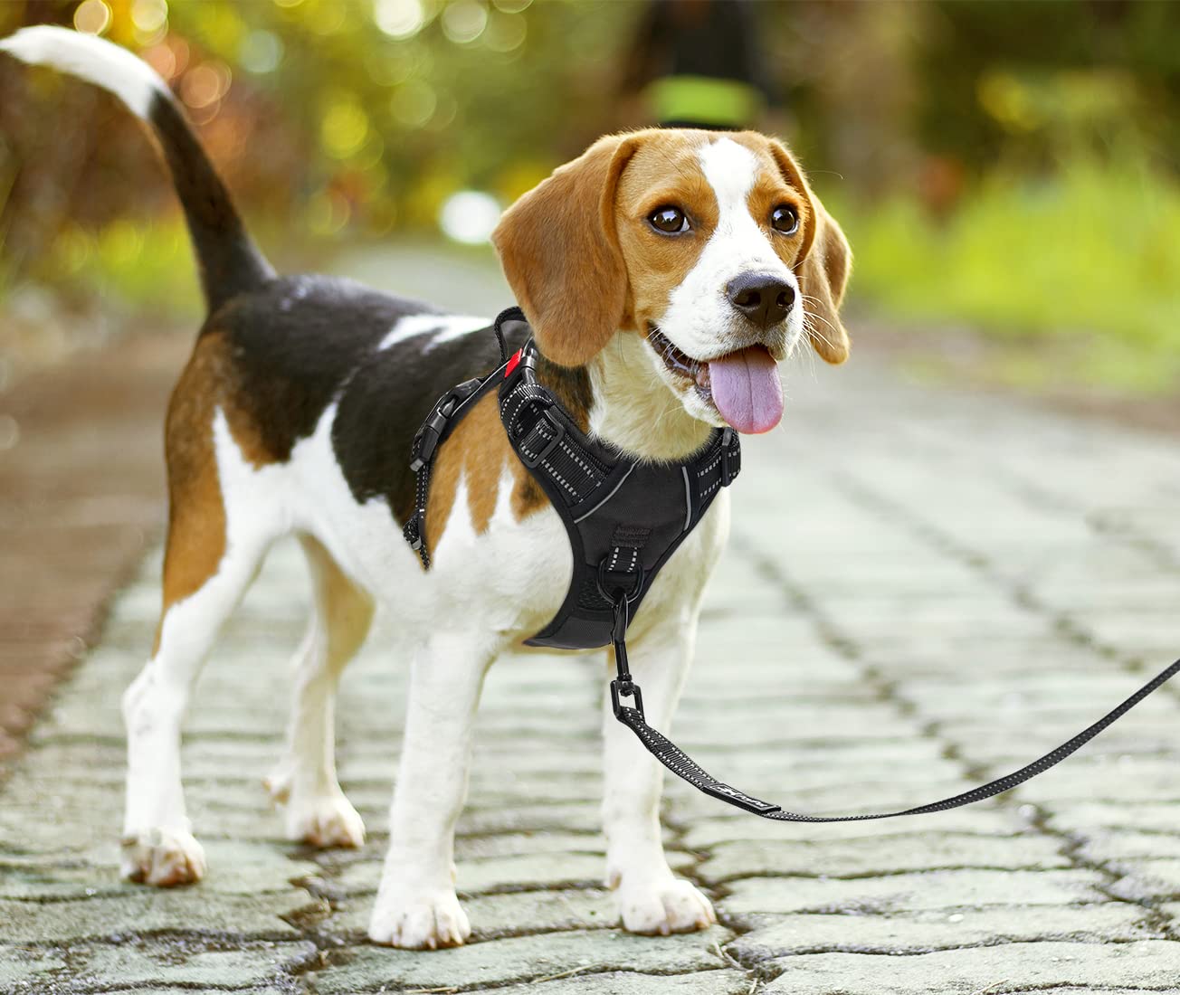 PoyPet Nessuna pettorina per cani Pull Front Reflective Pet Gilet per cani con facile controllo impugnatura e retro perfetto per l'allenamento quotidiano, camminata, corsa (nero, S)