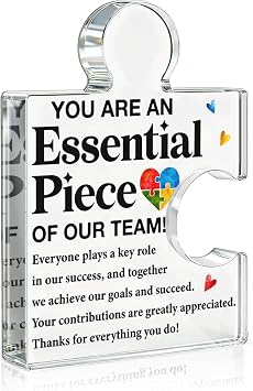 Team Thank You Appreciation Gifts for Coworkers Office Desk Decor