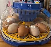 Review Image by Luis Telles