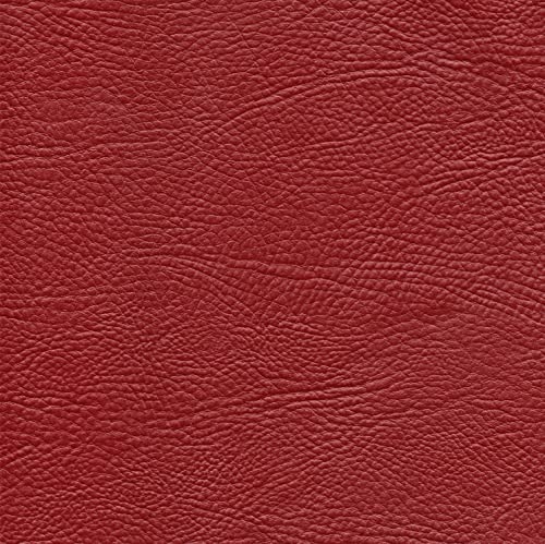 Image of RIGGEAR Sleek Back Cover Case Compatible with Google Pixel 9 Pro XL (TPU+PC | Red Leather)