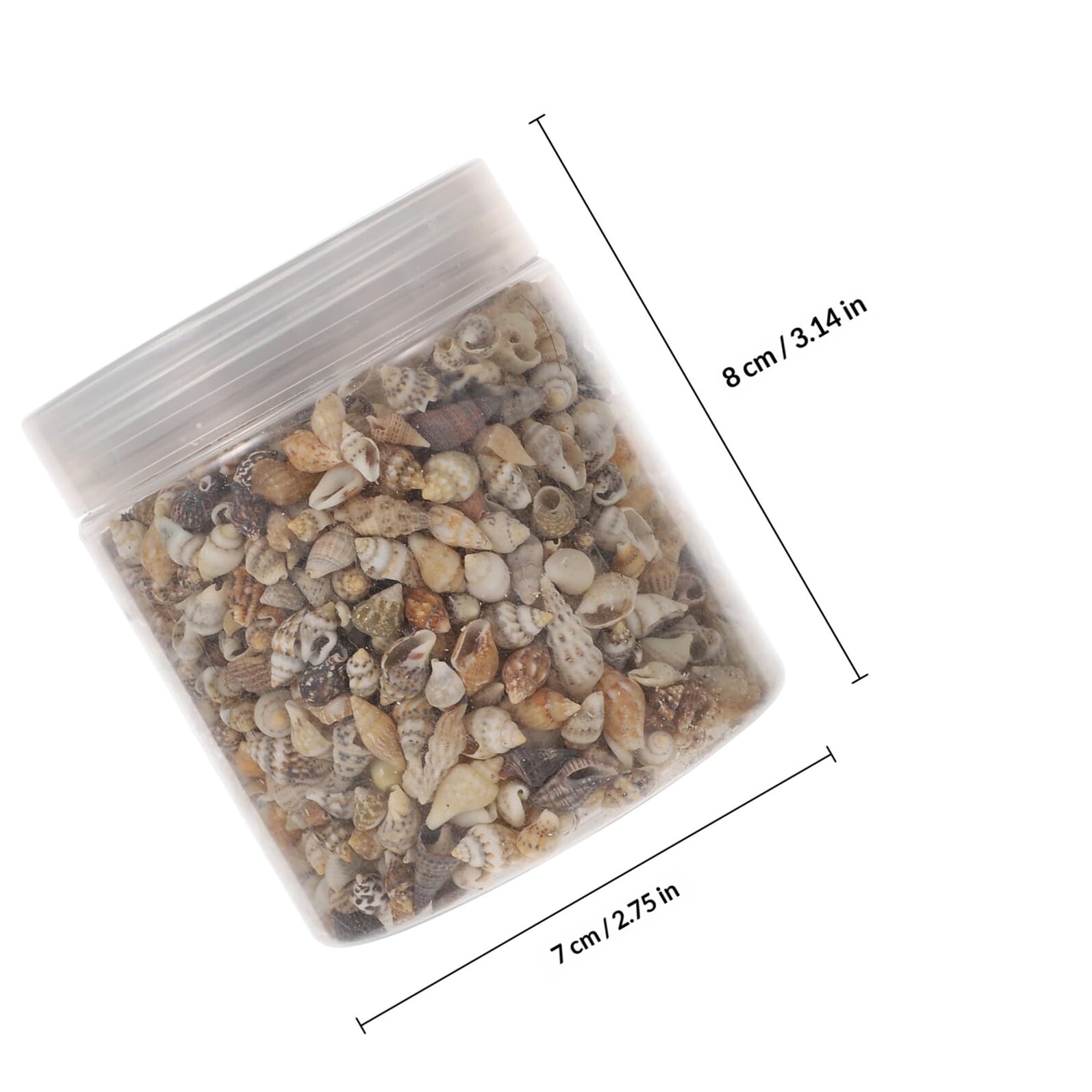 HOMSFOU Conchiglie Naturali Mini per Decorazioni Fai da Te, Riempitivo Artigianale per Vasi e Oggetti, Accessori Epossidici Resistenti alla Corrosione, Set da 2 Scatole per Ambienti