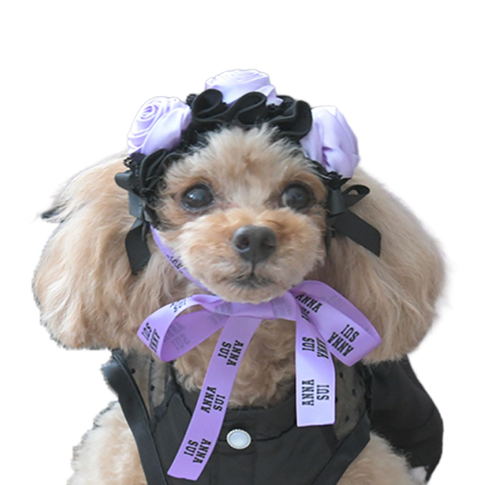 Amazon | ANNA SUI アナスイ バラデザインヘッドドレス | ペット