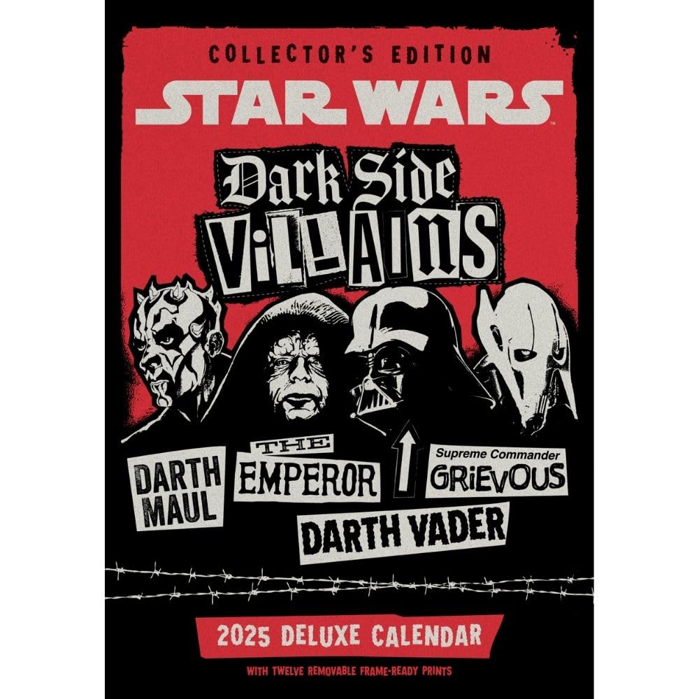 2025 Calendar Star Wars Classic Month to View A3 Deluxe Calendar Official Product