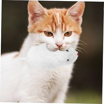 ねんねこ 4523251033116_00.jpg