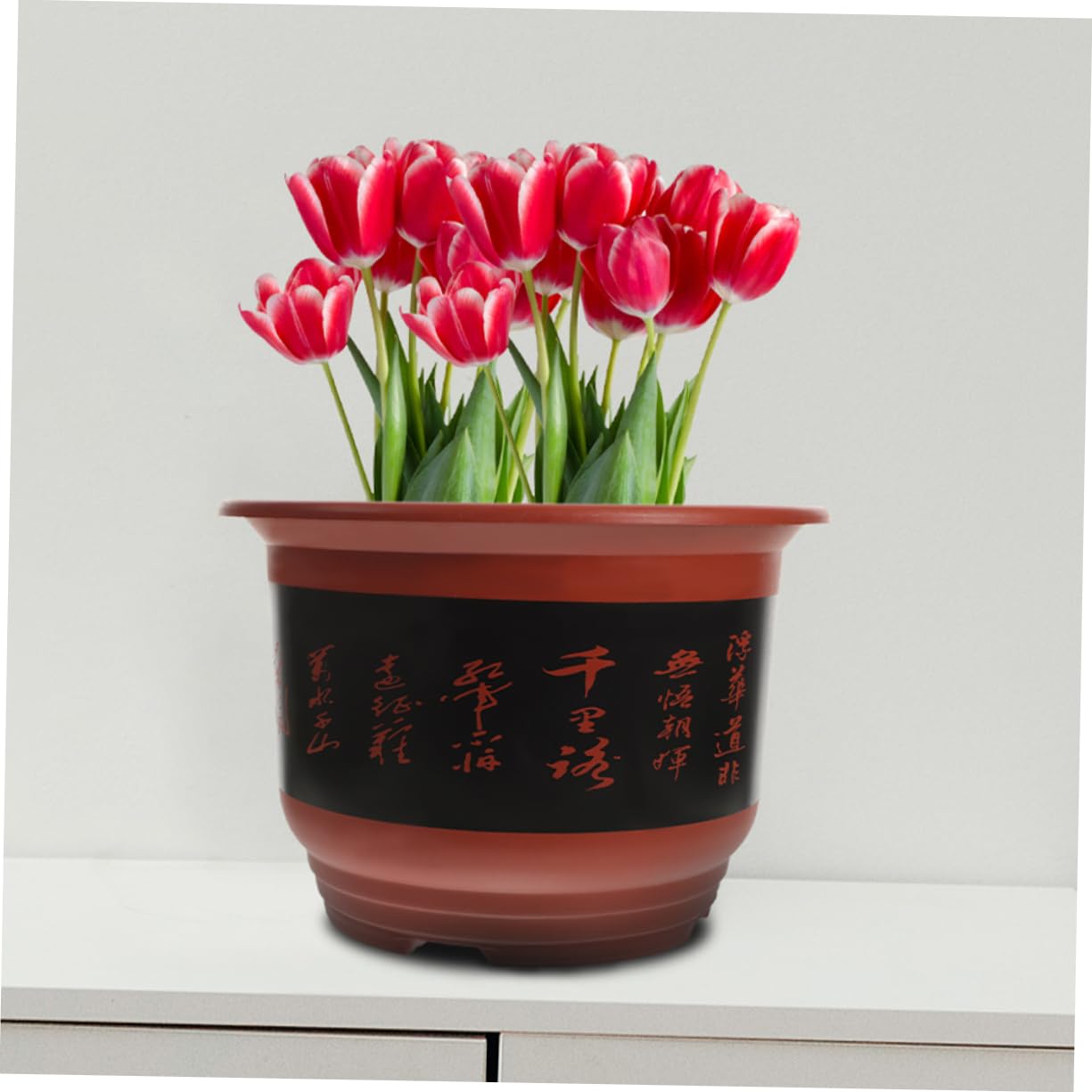 2pièces Pots à Orchidées Plastique Contenants De Fleurs pour Plantes Succulentes Et Cactus Parfait pour Décoration Intérieure Et Extérieure