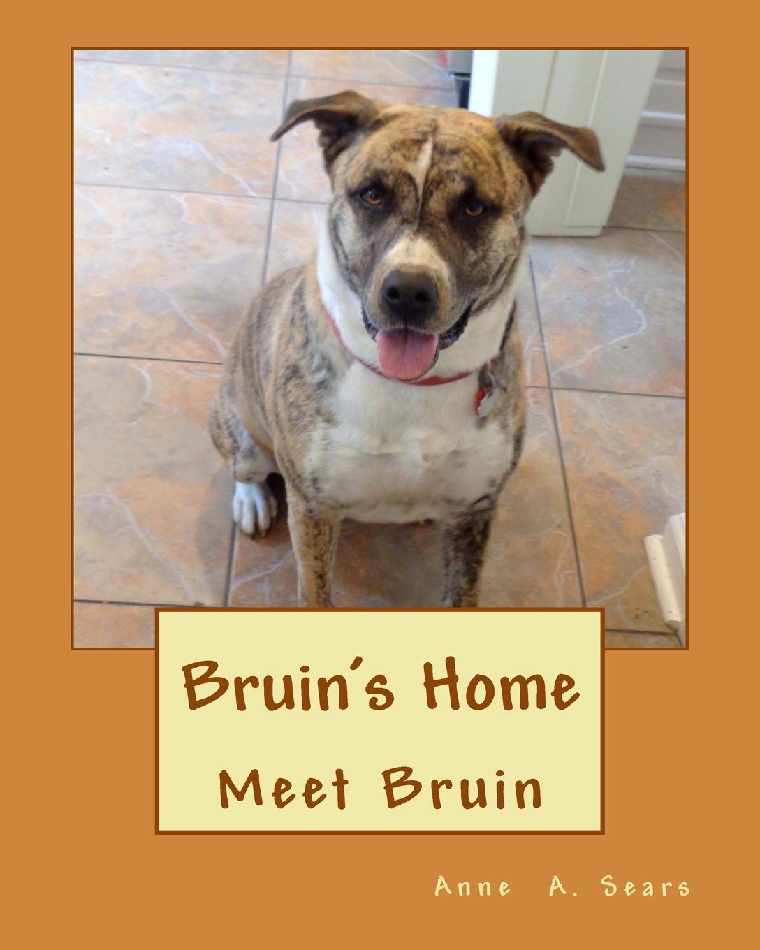 Bruin's Home: Meet Bruin