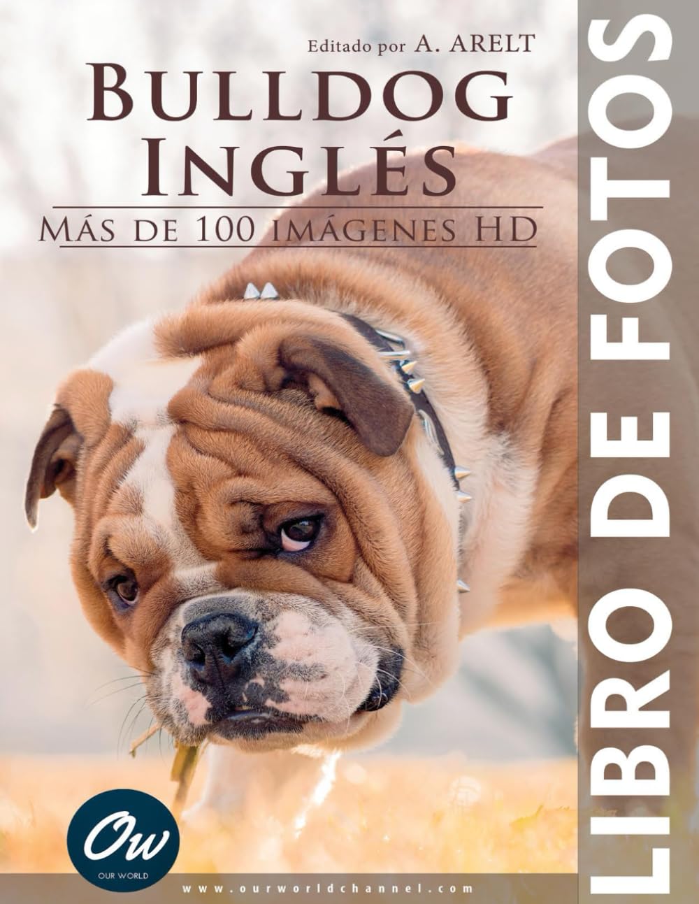 Bulldog inglés: Libro de fotos - Más de 100 imágenes HD