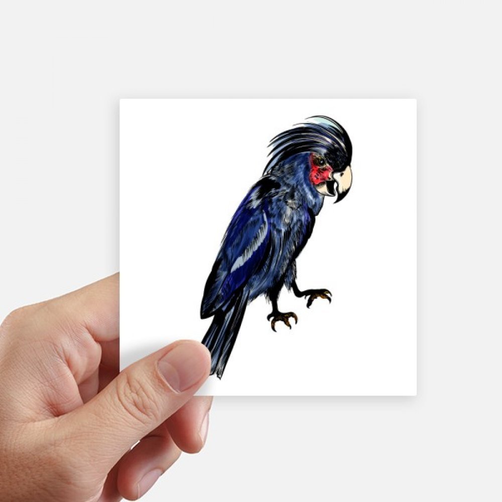 Autocollant oiseau perroquet bleu 10cm lot de 8 stickers carrés pour pc et moto