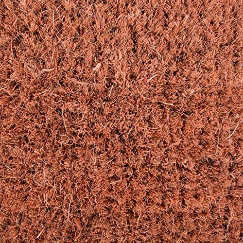 DII Fun Greetings Home Décor Indoor/Outdoor Natural Coir Fiber Doormat, 18x30, Beach House, 46 x 76 cm (Rectangular) - Image 3