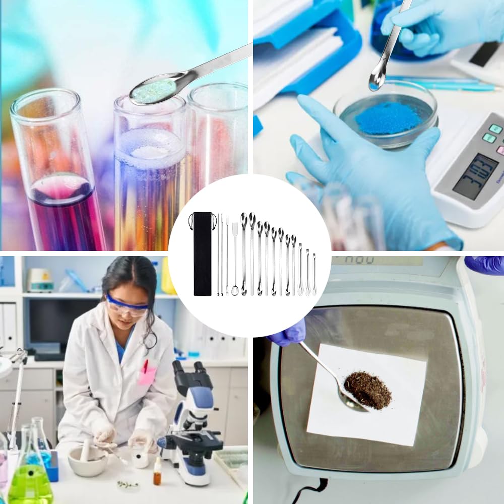 15 Pz Spatola e Cucchiaio da Laboratorio Spatola in Acciaio Inossidabile Laboratorio Micro Paletta a Doppia Testa Cucchiaio con Custodia in Velluto per Polveri di Campionamento in Laboratorio