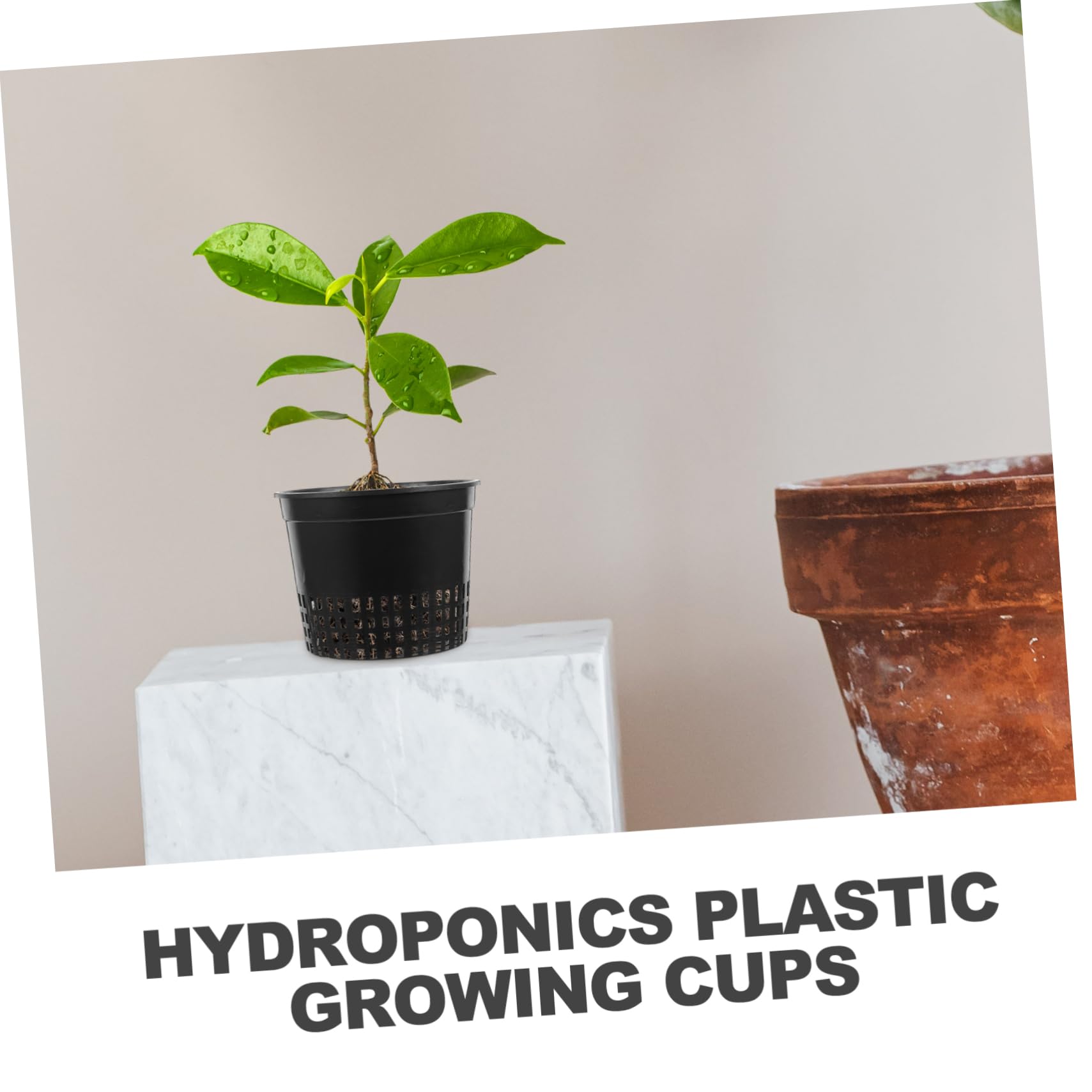 Macetas hidropónicas de plástico para Cultivo hidropónico, 10 Unidades, Redondas, de Malla, para Verduras, Plantas, orquídeas, Cultivo Transpirable, Invernadero, jardín, Acuario, Color