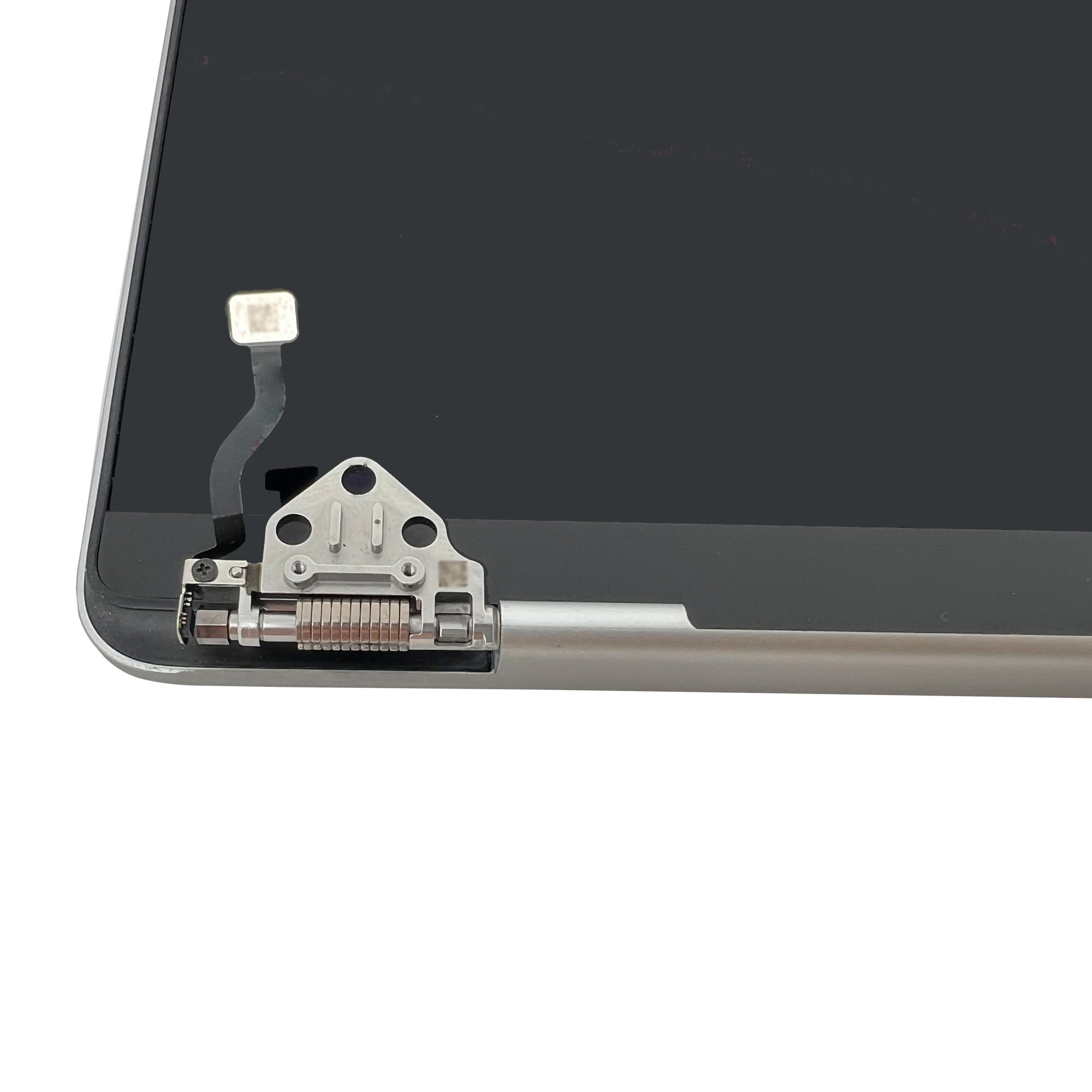 Amazon.com: FTDLCD Replacement for MacBookPro18,2 MacBook