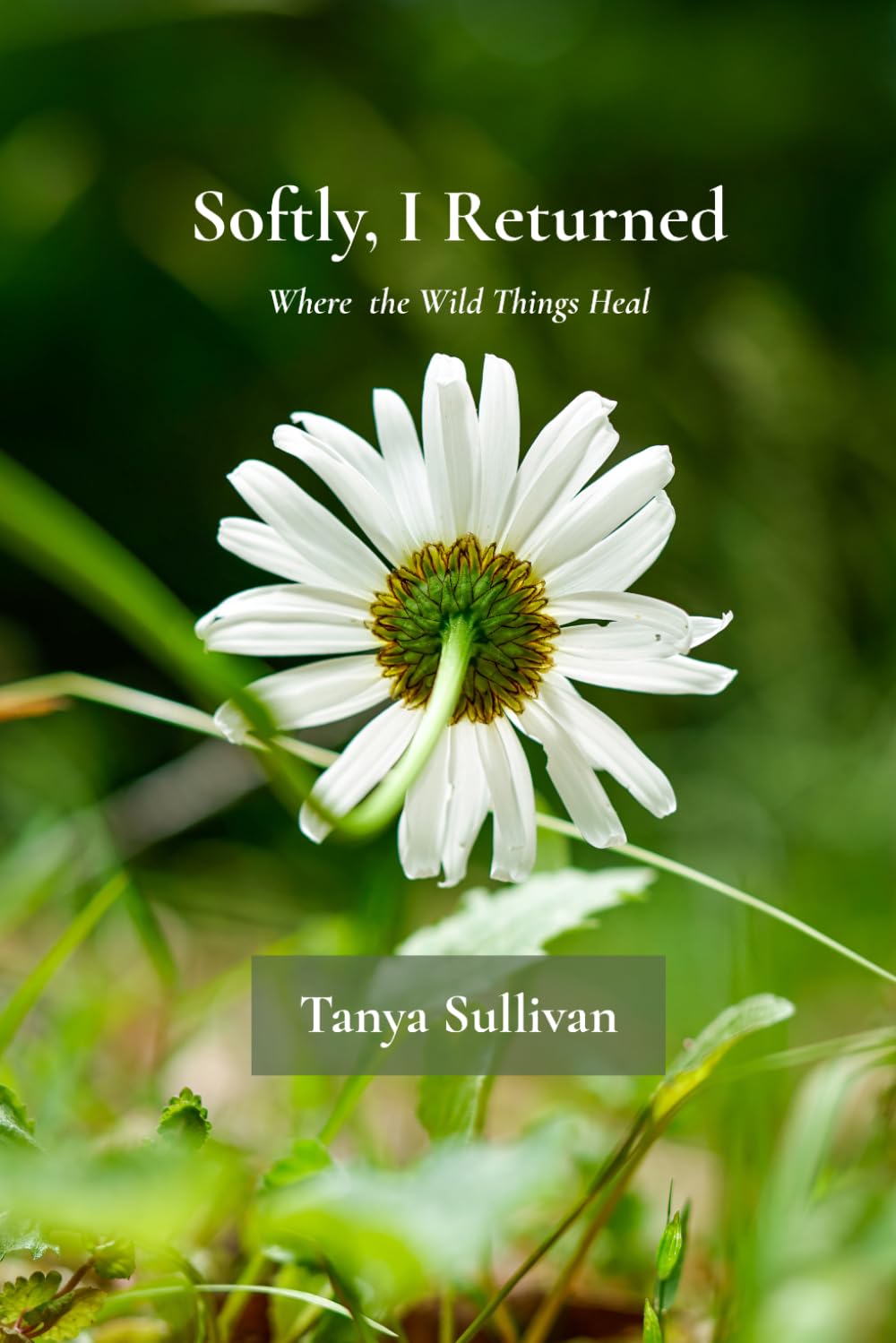 Softly, I Returned: Where the Wild Things Heal