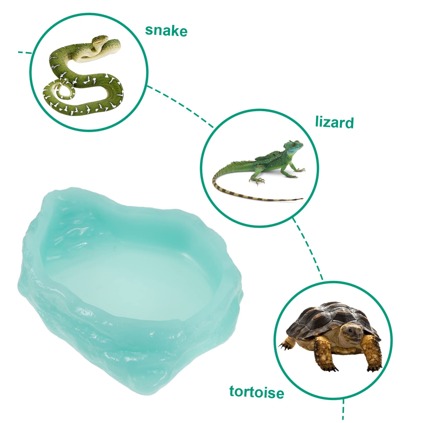 BESPORTBLE Ciotola per Rettili in Alimentatore e Distributore per Tartarughe e Facile per Terrari e Allevamenti Domestici