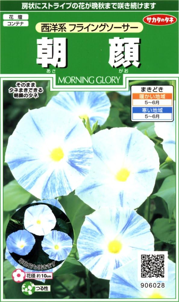 サカタのタネ 実咲花6028 朝顔 西洋系フライングソーサー 花 Amazon サカタのタネ 実咲花6028 朝顔 西洋系フライングソーサー 花 Amazon