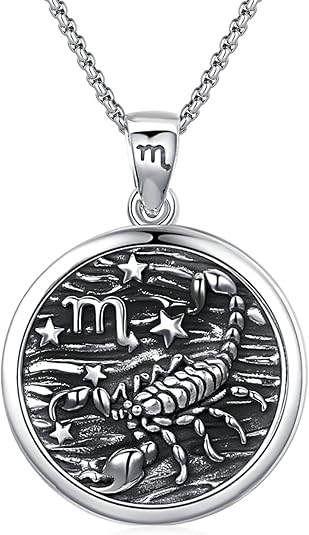 Unisex Zodiac Sign Necklace 925 Sterling Silver Constellation Pendant Necklaces,Horoscope Zodiac Jewelry Birthday Gift for Women
