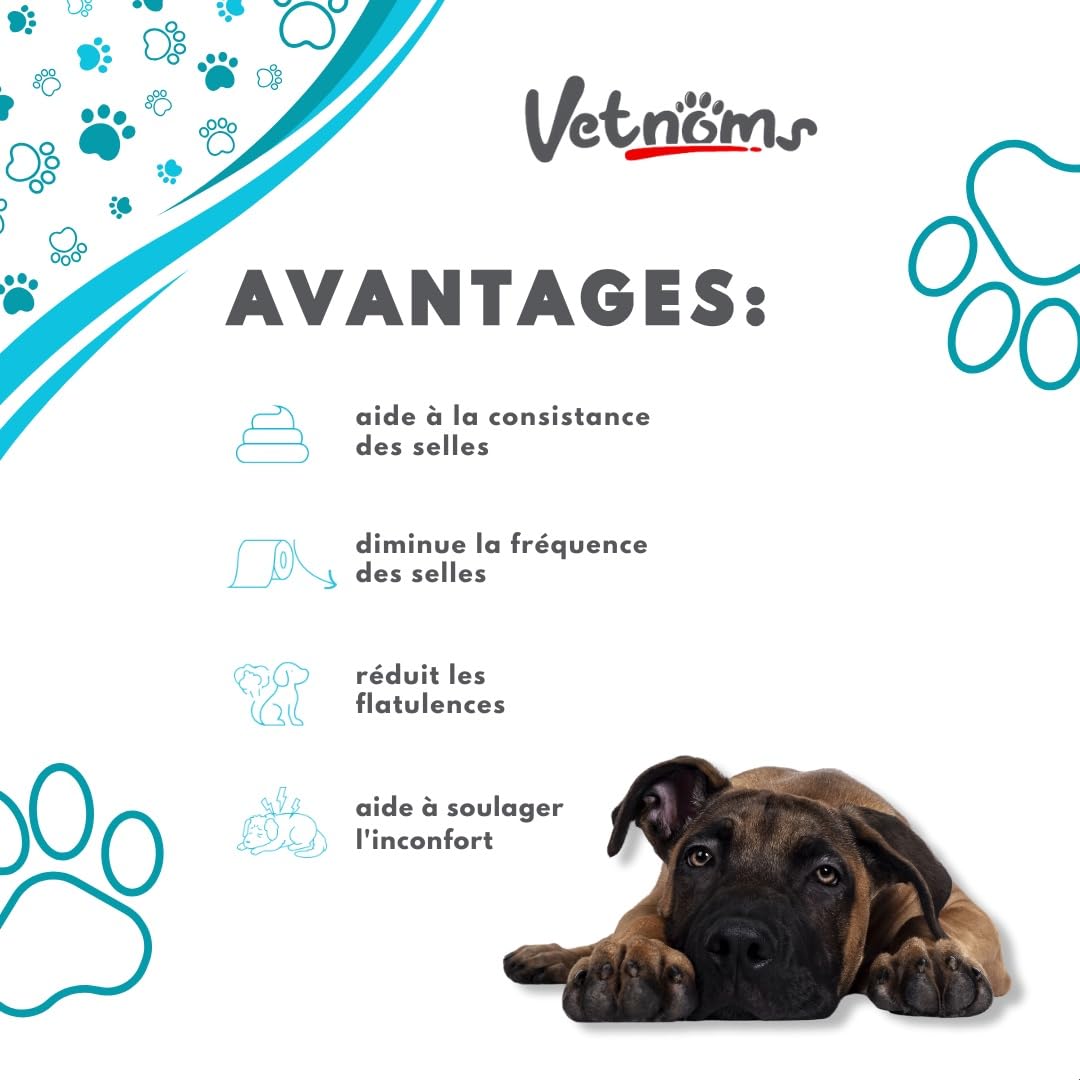 Poudre Anti Diarrhée Chien - Complement Alimentaire Chien 100% Naturel: Bentonite, Probiotiques Chien. Fibres et Minéraux pour Aider à Réduire la Diarrhée Chien.