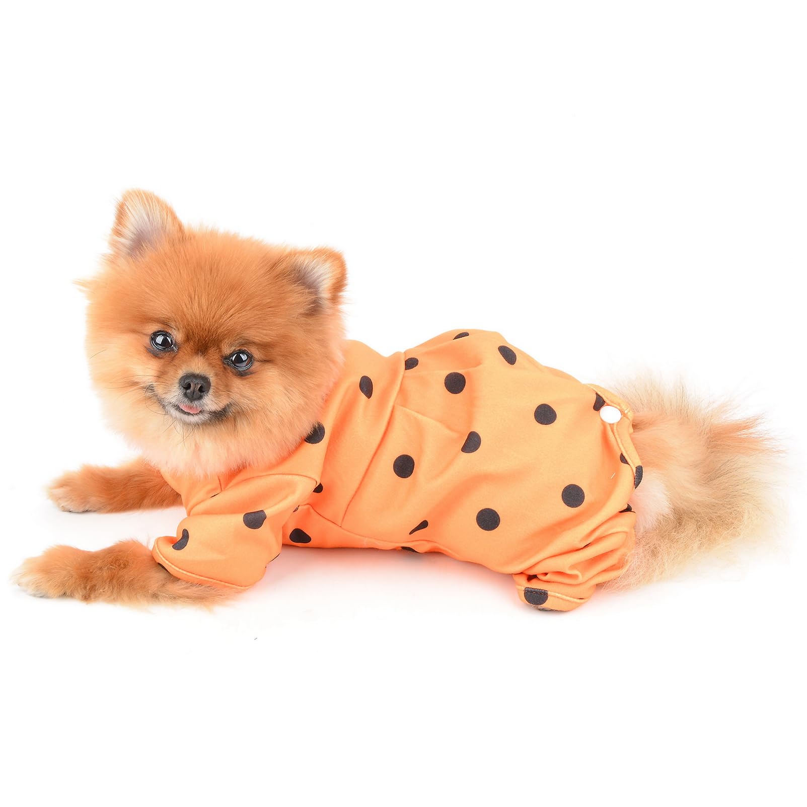 SMALLLEE_LUCKY_STORE Small Dog Clothes Cute Retro Dots Puppy Pajamas Pjs Belly Cover Cat Pyjamas Stretchy Jumpsuit Warm Sleepwear Outfits for Yorkie Chihuahua,Orange,M - Image 4