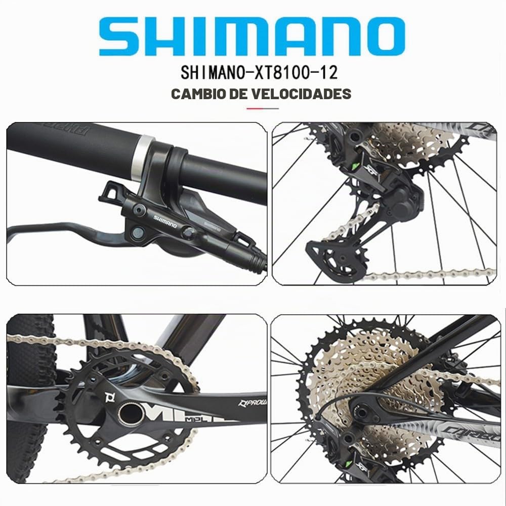Bicicleta Montaña Fibra Carbono 29 Pulgadas, Eje Tubo Descenso, Parte Trasera Blanda, NX-12 Velocidades C,29in/17in