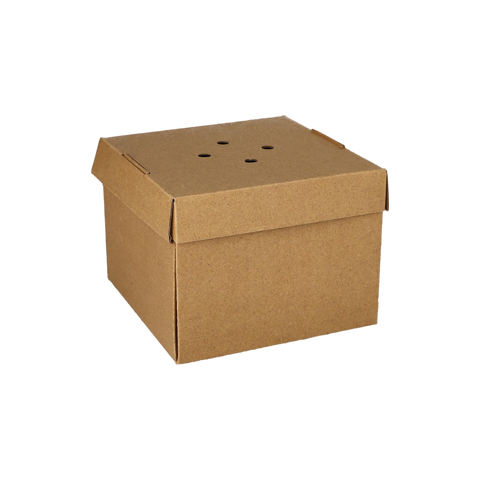 PAPSTAR 200 scatole per hamburger, in cartone puro, 10 cm x 13 cm x 13 cm, pieghevoli, piccole