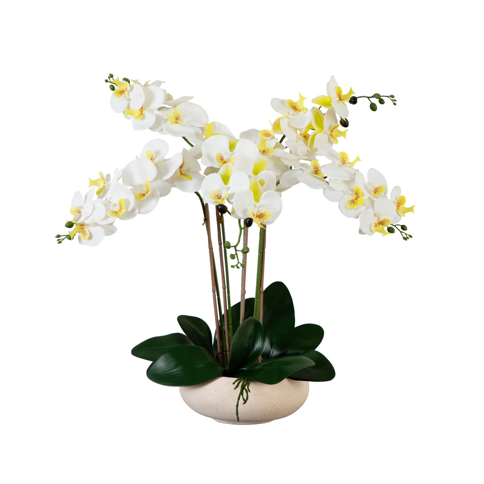 Orchidée phalaenopsis artificielle sans entretien pot en céramique
