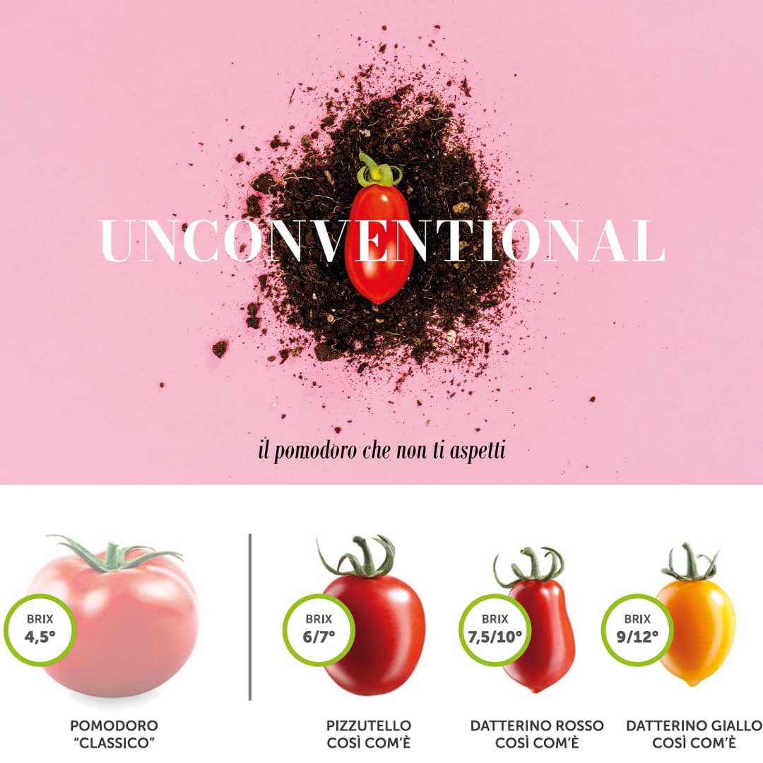 Cosi Come - Datterini Tomatoes in Juice (12.354 oz) 350 g, Low-acid, No additives, No preservatives, 100% Natural, Non-GMO, Product of Italy