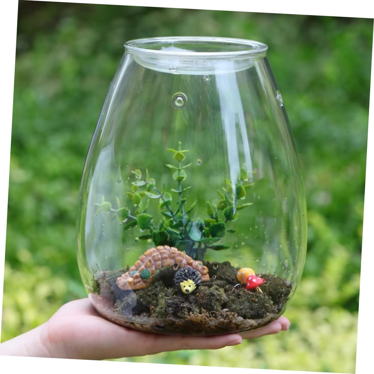 Glass Terrarium Empty Terrarium Micro Landscape Bottle Moss Bottle DIY Plants Container