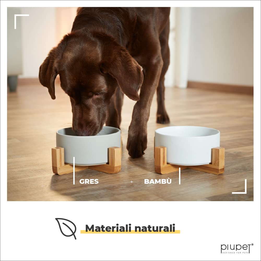 PiuPet® Ciotole per Cani I 2x850ml I Lavabile in Lavastoviglie I Ciottola per Gatti I Ciotole Rialzate Cane e Gatto