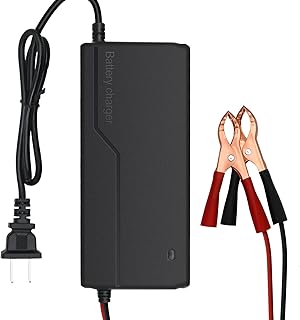 14.6V 10A LiFePO4 Battery Charger for 12V Lithium Iron Phosphate Battery, Smart Charger for Lithium LiFePO4 Deep Cycle Rechargeable Batteries, Support Fast Charging