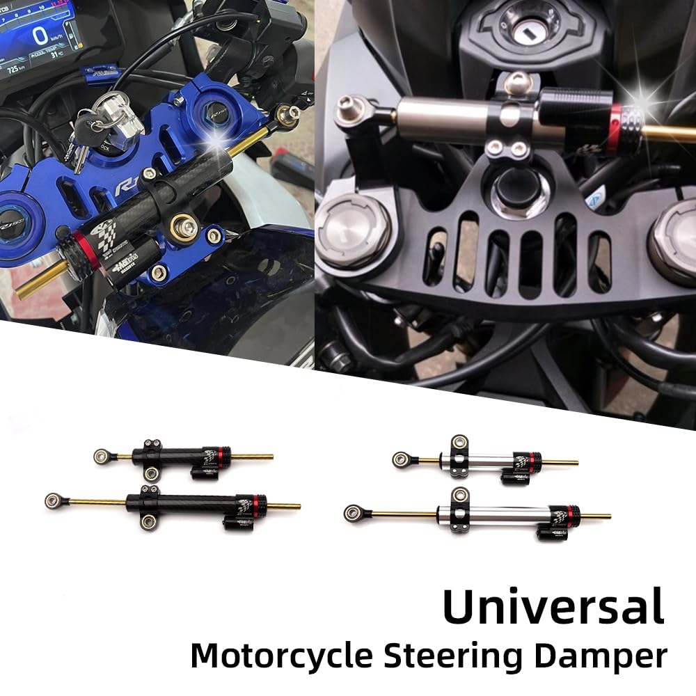 Ammortizzatore Sterzo Moto Universale, Ammortizzatori di Sterzo Stabilizzatore Alluminio CNC Moto, per Moto in lega di Alluminio (Fibre di Carbonio, 10")