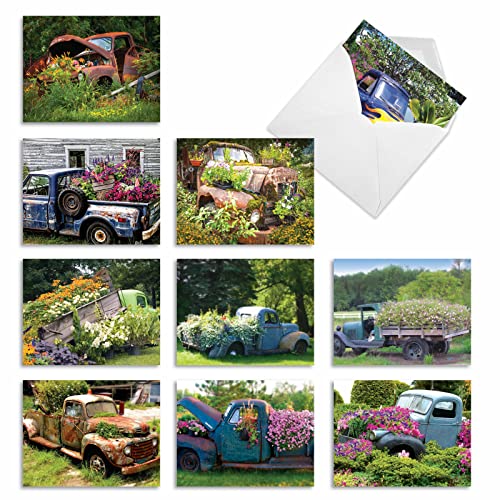 Joke carte de vœux M2372TYG coffret de cartes de remerciement à offrir