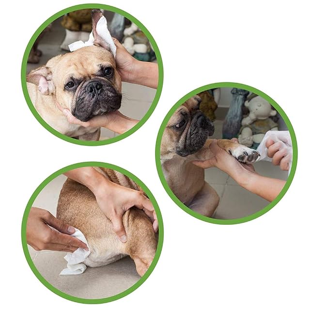 Foto 3 de 8 de Croci Toallitas Húmedas Ecológicas Para Perro Y Gato Con Clorhexidina, Biodegradables, Para Tirar Al Inodoro…